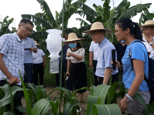 全省农药减量控害技术交流推进会和农作物病虫害专业化统防统治培训班圆满结束