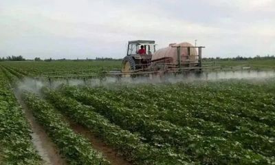 农作物主要病虫害发生趋势及防治建议