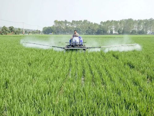 农作物病虫害防治只能用农药 成本高 副作用大还产生耐药性