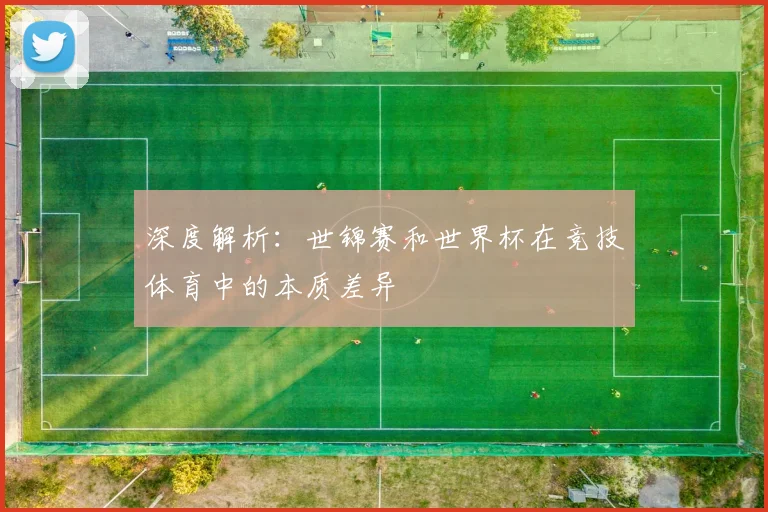 深度解析：世锦赛和世界杯在竞技体育中的本质差异