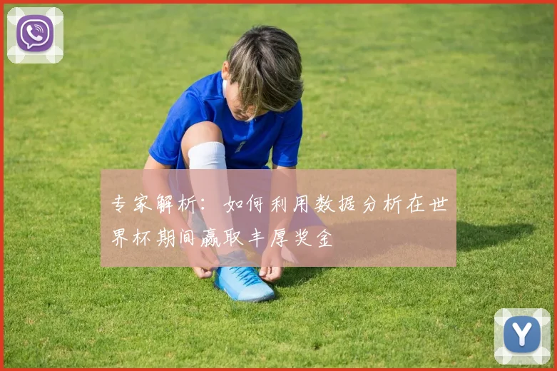 专家解析：如何利用数据分析在世界杯期间赢取丰厚奖金