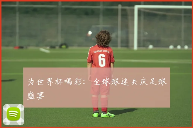 为世界杯喝彩:全球球迷共庆足球盛宴