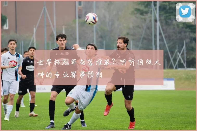 世界杯冠军花落谁家?听听顶级大神的专业赛事预测